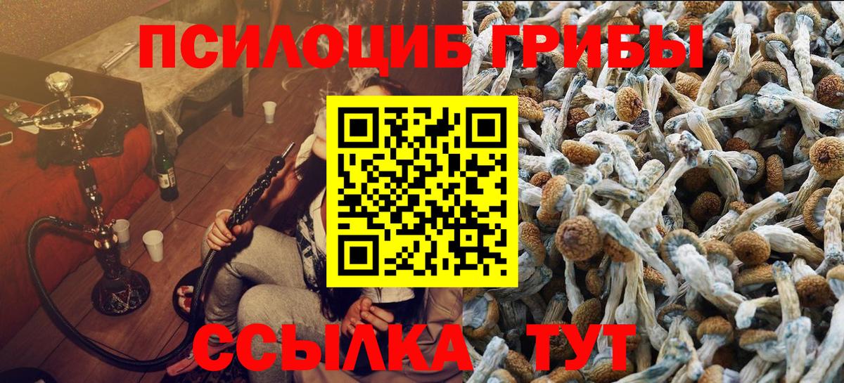 Галлюциногенные грибы Cubensis  Вход с VPN  Янаул  Галлюциногенные грибы Psilocybe 
